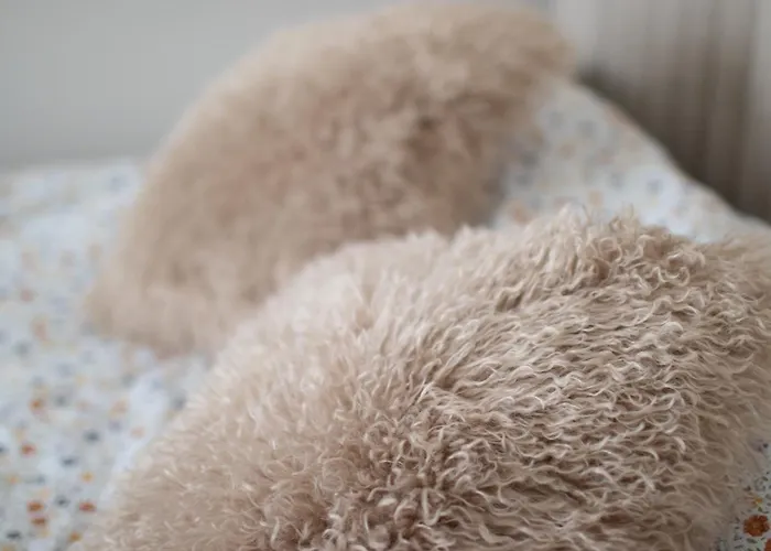 Apartamento львівський затишок