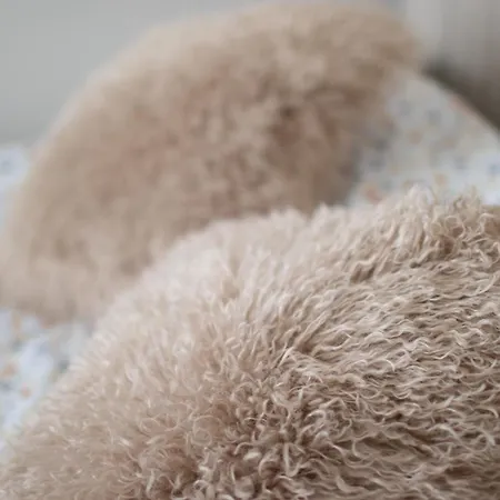 Apartament львівський затишок